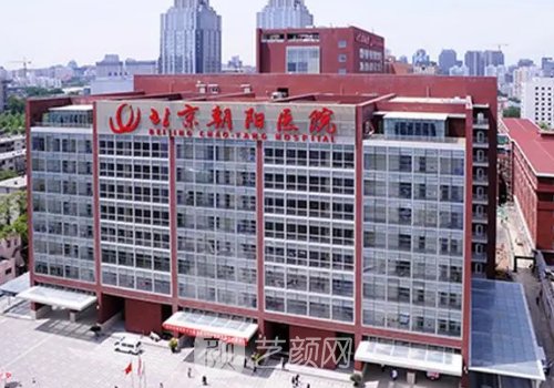 北京朝阳医院整形科怎么