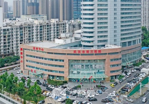 武汉市第三医院整形科怎