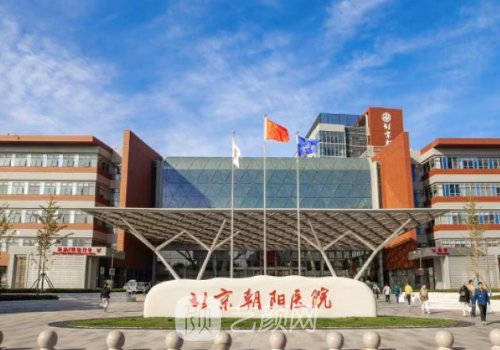 北京朝阳医院范巨峰案例