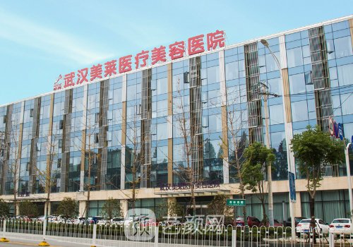 武汉美莱整形医院官网更