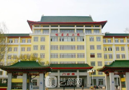 哈医大二院整形外科怎么