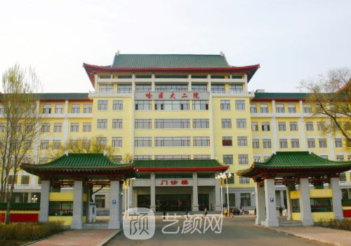 哈医大二院整形外科电话