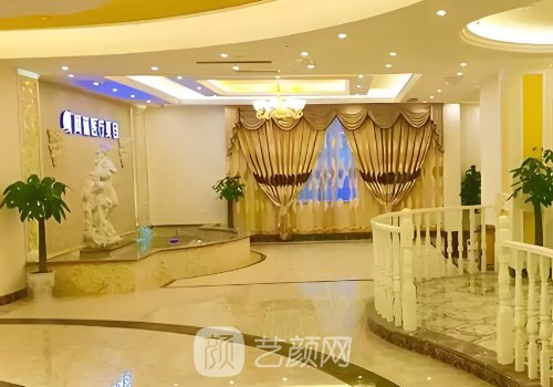 南充阿蓝整形医院是几级