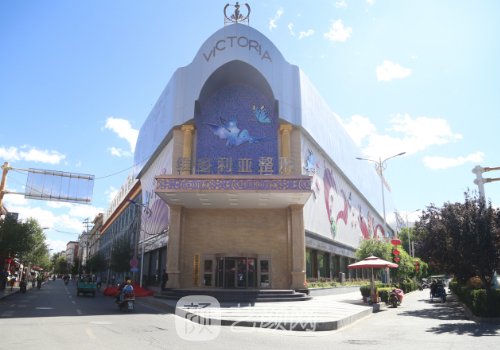 拉萨维多利亚整形医院官