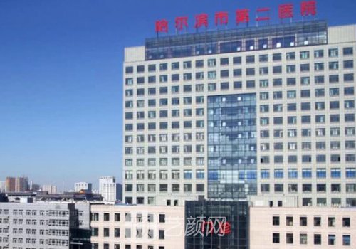 哈医大二院整形科哪个大