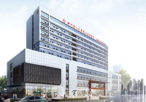 成都东篱医院是公立还是