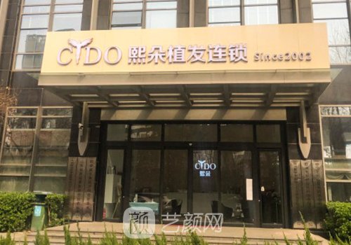 济南熙朵头发移植怎么样