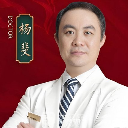 杨斐