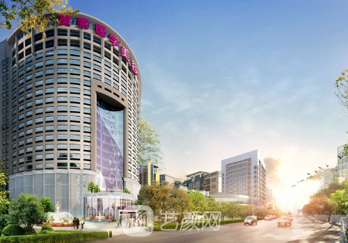 蒙喜永拉皮怎么样?广州美