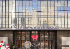 北京艺星和圣嘉新哪个医