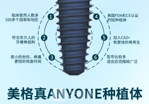 韩国美格真和登腾哪个好