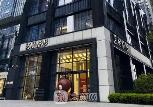 南京艺星和施尔美哪家好