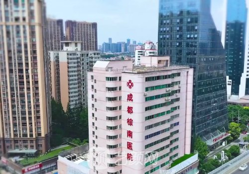 成都棕南医院美容科简介