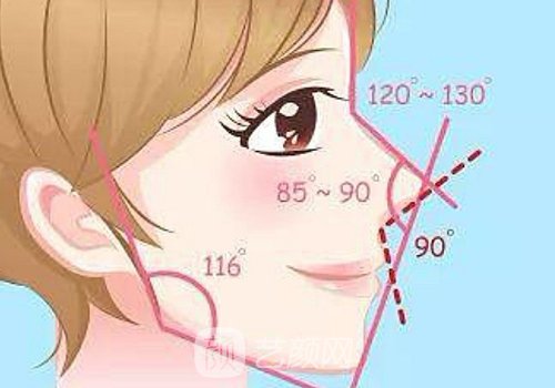 广州颏成型多少钱?价格及