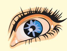 人工玻璃体球囊植入心得