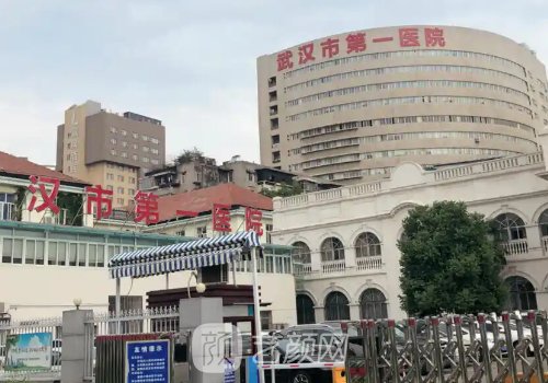 武汉第一医院整形外科是