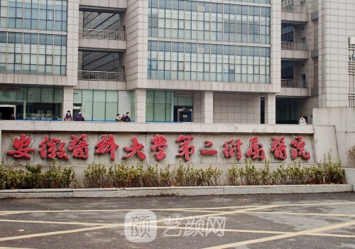 安医二附院整形外科双眼