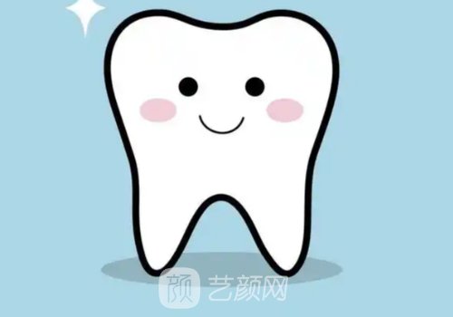 纯钛金属牙齿多少钱一颗