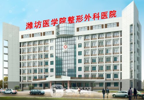 翟朝晖和王洋哪个吸脂好