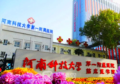 河科大第一附属医院整形