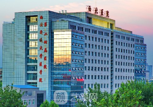 西安交大二附院整形科价