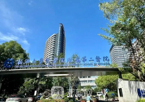 杭州假体隆胸多少钱?202