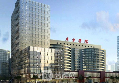 上海毛发种植专家都有谁