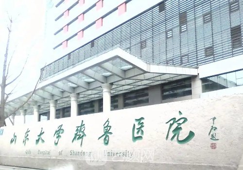 山东大学齐鲁医院整形科