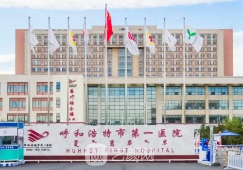 呼市第一医院做鼻子多少