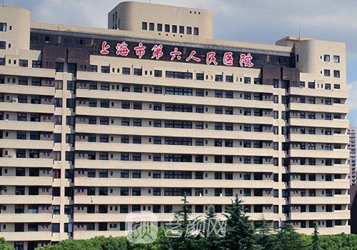 上海六院植发2500个毛囊多