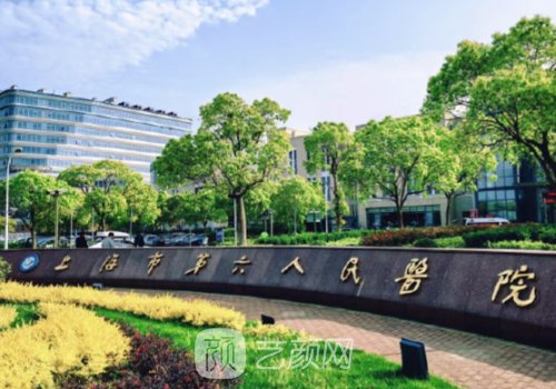 上海六院双眼皮医生排名