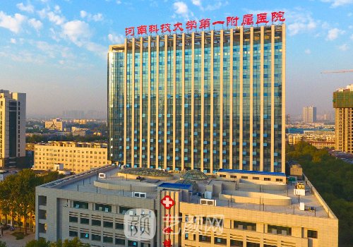 河南科技大学第一附属医