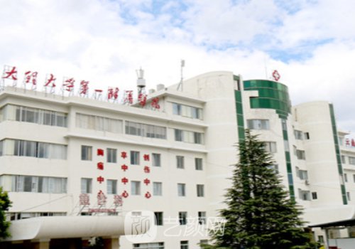 大理大学第一附属医院刘