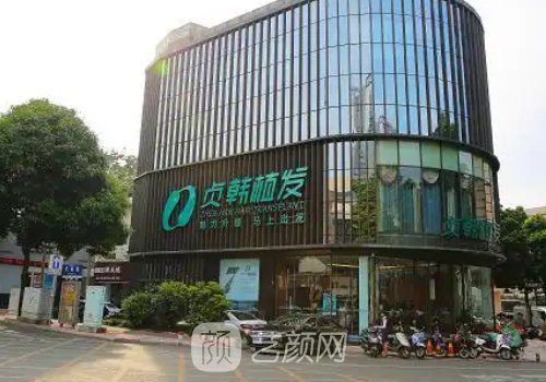 贞韩好还是雍禾好?都专注