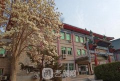 北京市整形医院排名前十