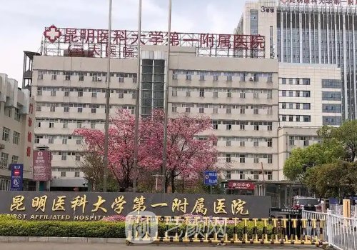 昆明植发正规公立医院介