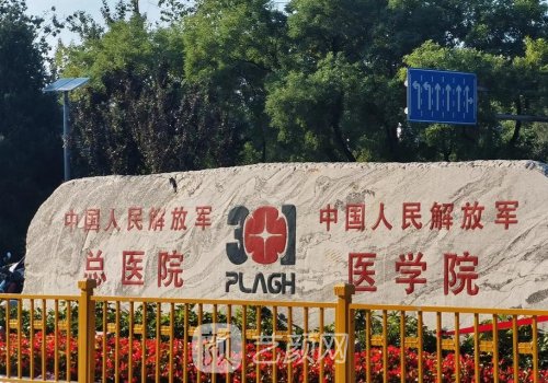 解放军总医院双眼皮多少
