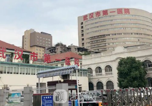 武汉市第一医院整形外科
