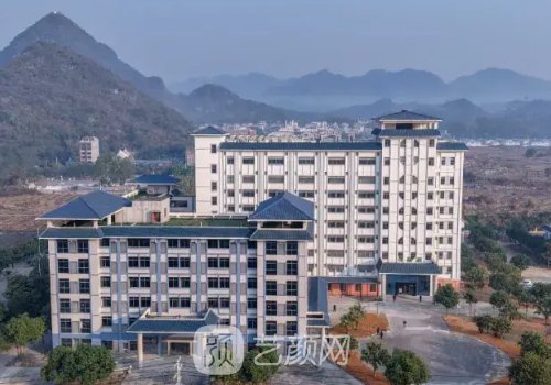 广西平果市人民医院拔智