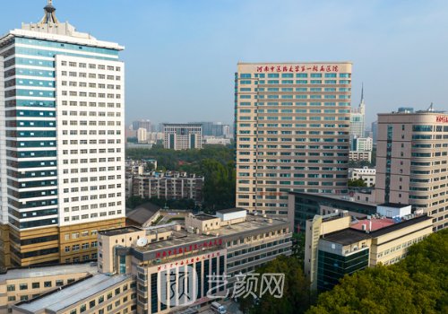 河南中医药大学第一附属