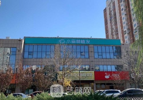 北京小森林植发好吗?正规