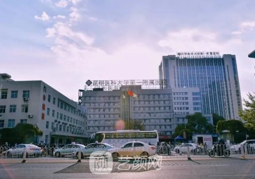 昆明哪家医院植发好?高口
