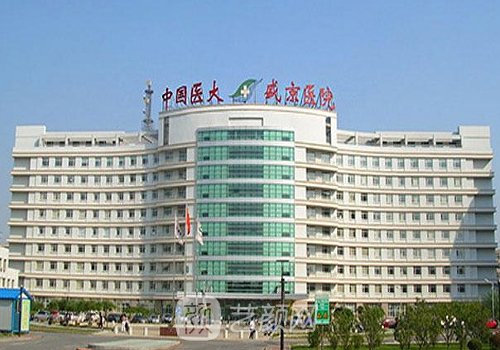 沈阳市哪家医院植发好些