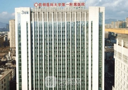 云南哪家植发好?本地人力
