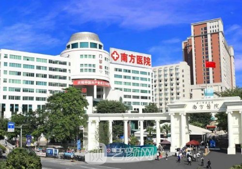 广州三甲医院哪家植发好