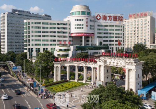 广东省哪家正现医院植发