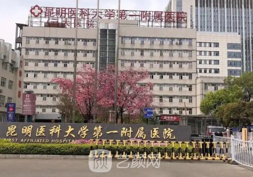 昆明去哪家医院植发好?