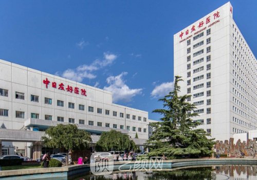 北京去哪家医院做植发好