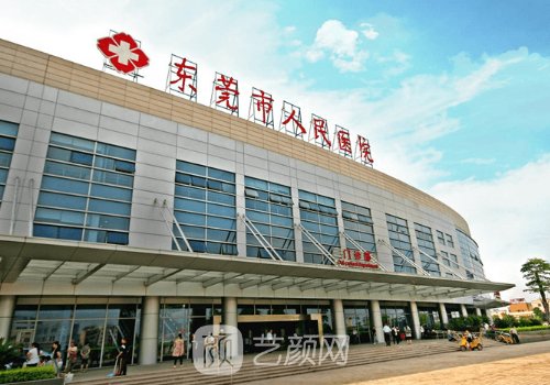 东莞植发哪家好?2026口碑医