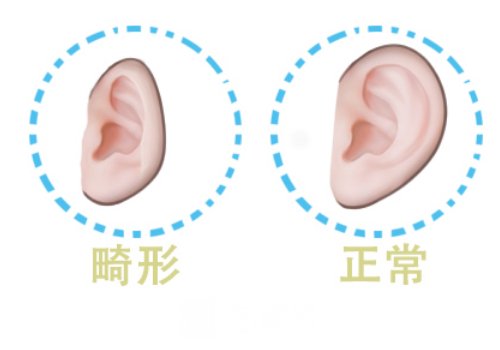 上海九院陈东简介公开|小